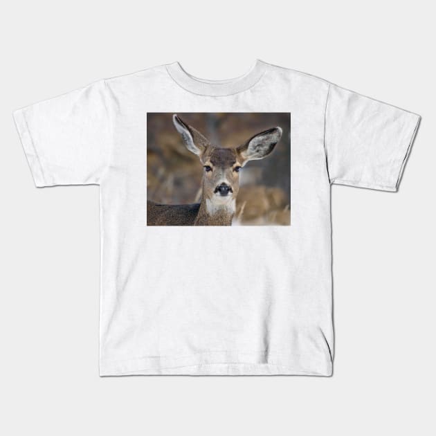 Mule Deer Listening Intently Kids T-Shirt by algill